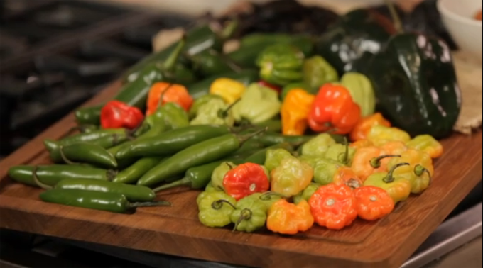 eHow Food:  Daisy Martinez